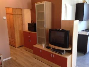 a small television sitting on a cabinet in a room at Apartma R Sport in Tolmin