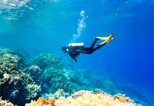 MāvalliShivaya AC & Non Ac Stay的一个人在珊瑚礁附近的海洋里游泳