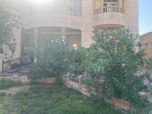 a house with plants in front of a building at doge villa 3 in Dubai