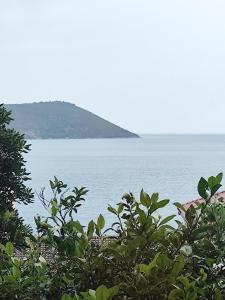 Φυσικό τοπίο κοντά σε αυτό το διαμέρισμα