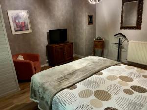 a bedroom with a bed and a tv in it at Gite de la dime in Ribeauvillé