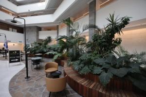 a lobby with a bunch of plants at Sweet Sea Side Eilat - סוויט סי סייד, אילת in Eilat