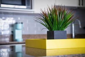Eine Pflanze in einem gelben Topf auf einer Theke in der Unterkunft Stay A While Ski-In-Out Hot Tub & Shuttle in Blue Mountains