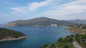 Příroda nedaleko hotelu