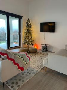 TV a/nebo společenská místnost v ubytování Sunset Hills Transylvania