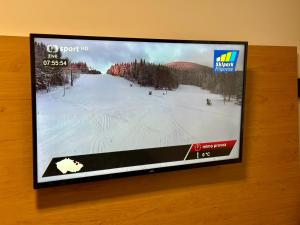 a flat screen tv sitting on top of a wall at U Zámečku 108 in Kyjov
