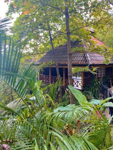 una casa en medio de un jardín con plantas en Pilates Nosara, en Playa Guiones