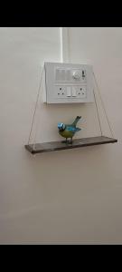 Φωτογραφία από το άλμπουμ του Shubhkamana σε Solapur