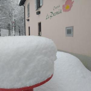 Το MOUNTAIN HOTEL Osteria di MONTAGNA La Peonia Monte Generoso τον χειμώνα