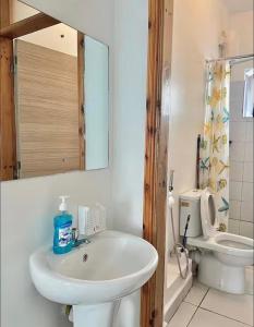 Ένα μπάνιο στο Alvy 2bedroom apartment