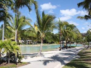a beach with palm trees and people in the water at Mermaids Mango House in Airlie Beach
