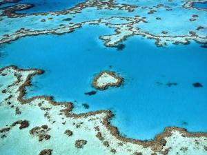 an aerial view of the great barrier reef at Mermaids Mango House in Airlie Beach