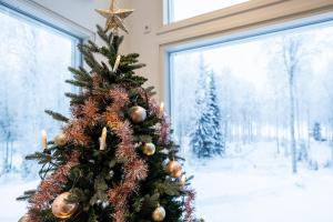 a christmas tree sitting in front of a window at Villa Lumossa - Lakeside Luxury with unique privacy in Rovaniemi +52 photos