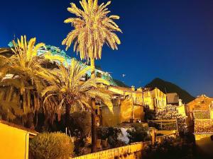 a group of palm trees in front of a mountain at Séjour Royal in Xàtiva