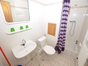 亚希莫夫Apartment in Jachymov near Ski Lift的浴室里有洗手池、马桶和镜子。