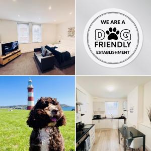 a collage of photos with a dog in a living room and a lighthouse at Southside Street Apartments in Plymouth