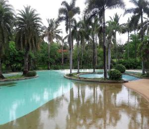 a swimming pool with palm trees in a park at Kaengkrachan Diamond Green Resort in Ban Song Phi Nong