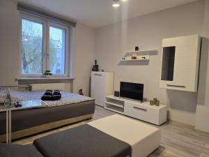 a bedroom with a bed and a flat screen tv at Apartament Tuwima 2 in Zabrze