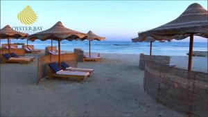 a group of chairs and umbrellas on a beach at Oyster Bay Beach Suites in Marsa Alam +37 photos