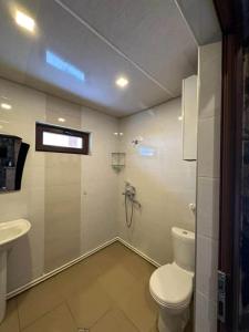 un bagno con un water e un lavandino di Borjomi Cottages in tsemi a Patara-Tsemi