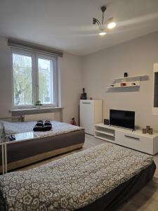 a bedroom with two beds and a flat screen tv at Apartament Tuwima 2 in Zabrze