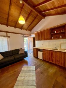 un soggiorno con divano e cucina di Zeytin a Datça Altre 28 foto