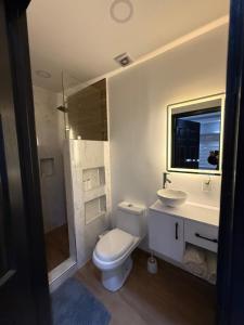 Koupelna v ubytování Lago Premium Stay