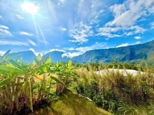 Loodusmaastik apartemendi lähedal