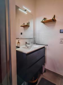 a bathroom with a sink and a mirror at Location Appartement Les Ondes in Albertville
