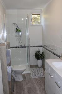 een badkamer met een douche, een toilet en een wastafel bij Nonna's Cottage 