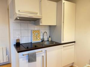 Η κουζίνα ή μικρή κουζίνα στο Gallieni