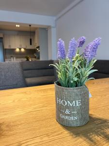 Afbeelding uit fotogalerij van Cozy London Escape in Suceava