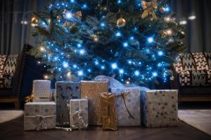 Posezení v ubytování Hotel D Bulle - La Gruyère