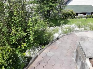 Κήπος έξω από το Gierske Feienwohnung