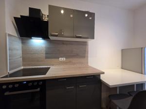 Η κουζίνα ή μικρή κουζίνα στο Mikra Homes24 in Zwickau