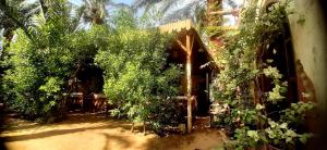 a garden with trees and plants on the side of a building at Nour El Gourna in Luxor