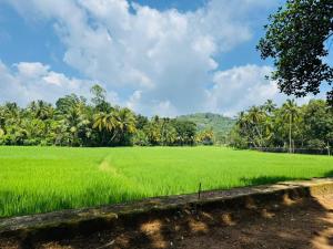 Φυσικό τοπίο κοντά σε αυτός ο ξενώνας