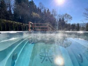 a hot tub with steam rising out of the water at Żabie Dworki Witów Luxury Chalets & SPA in Witów