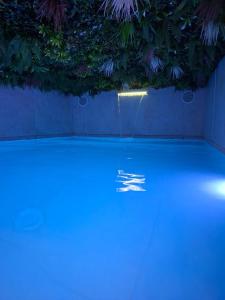 佩皮尼昂Amagat Loft Piscine et Hammam的天花板上有蓝色灯光和植物的房间