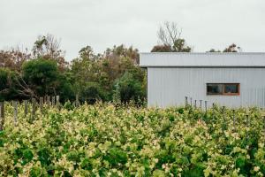 Φωτογραφία από το άλμπουμ του Basalt Wines Retreat σε Killarney