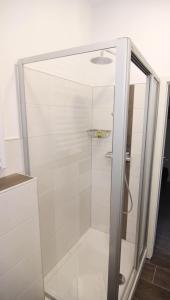 Kapitaenshaus-Lassen-Zimmer-Amistad في فيسترلاند: دش مع باب زجاجي في الحمام