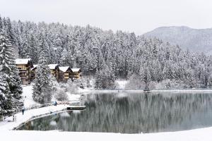 鲁容贝罗克Malinô Apartments - Chalets in Ski & Bike Park的一个位于雪中的度假胜地，有湖泊和树木。