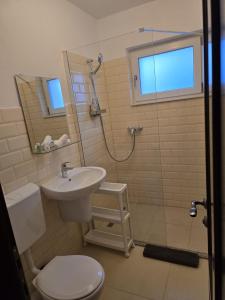 a bathroom with a toilet and a sink and a shower at Vila Altapura in Păltiniş +15 photos