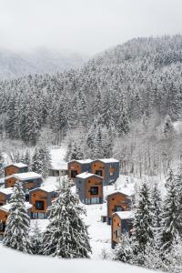 鲁容贝罗克Malinô Apartments - Chalets in Ski & Bike Park的一群有树的雪地房子