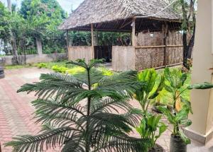 O grădină în afara Ununio Beach Holiday Home