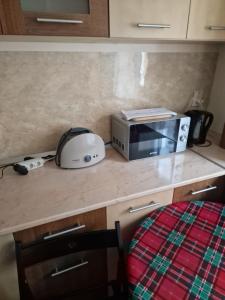 a kitchen counter with a toaster and a microwave on it at Apartment Slanic moldova in Slănic-Moldova