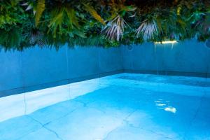 a swimming pool with blue water and a blue wall at Amagat Loft Piscine et Hammam in Perpignan