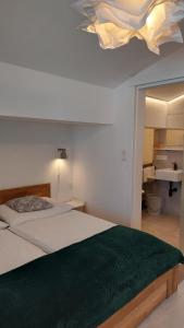 施特罗布尔Abis Ferienwohnung Salzkammergut的一间卧室配有一张带绿毯的床和天花板 更多46张照片