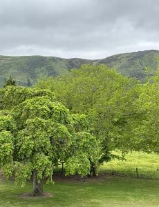 Un paisaje natural cerca del hotel
