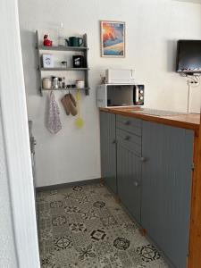 a kitchen with a counter top with a microwave at Parc des Ecrins 05290 Les MAISONNETTES APPARTEMENT 4 Pers in Puy-Saint-Vincent